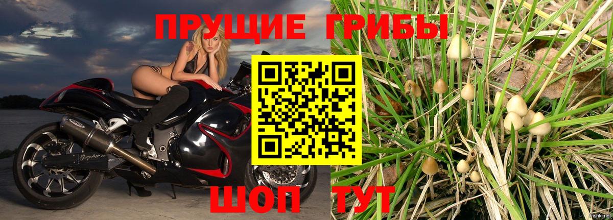 Россошь  Галлюциногенные грибы мухоморы  Вход с VPN  Галлюциногенные грибы мухоморы 